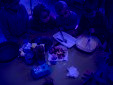 09-3_ans_de_novembre_2012